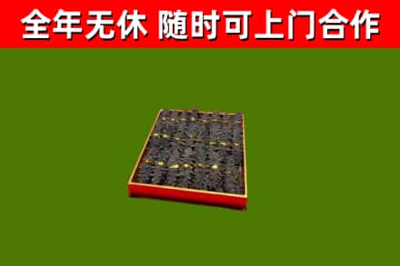龙海回收海参